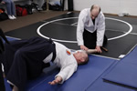 Art of Aiki Jutsu